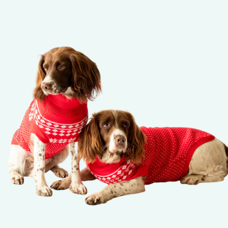 Xmas Dog Jumper - Red with White Fairisle - woofers & barkers