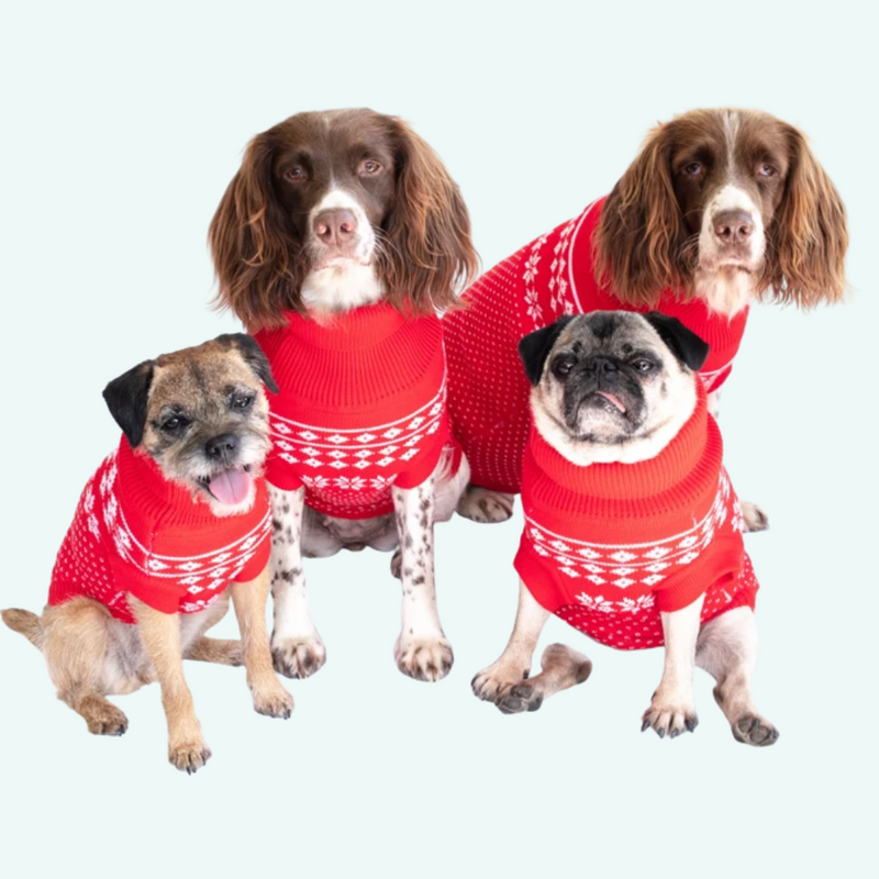 Xmas Dog Jumper - Red with White Fairisle - woofers & barkers