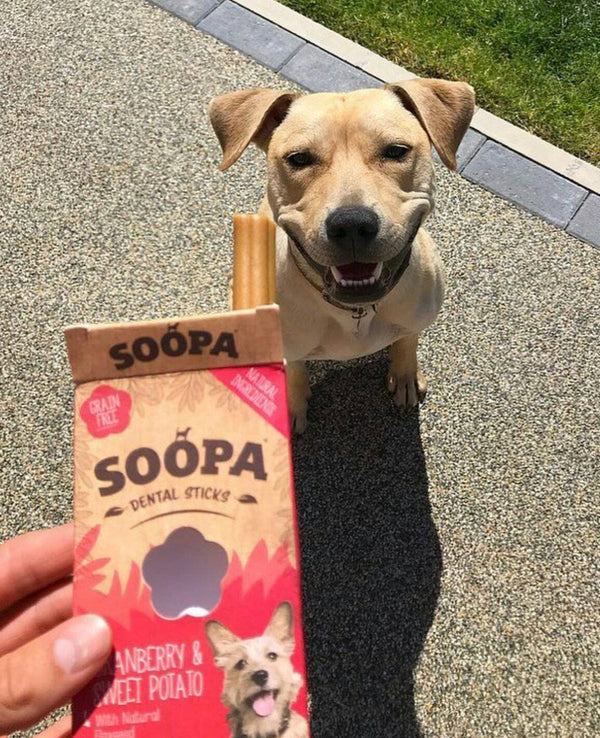 Soopa dog treats cranberry and sweet potato dental sticks
