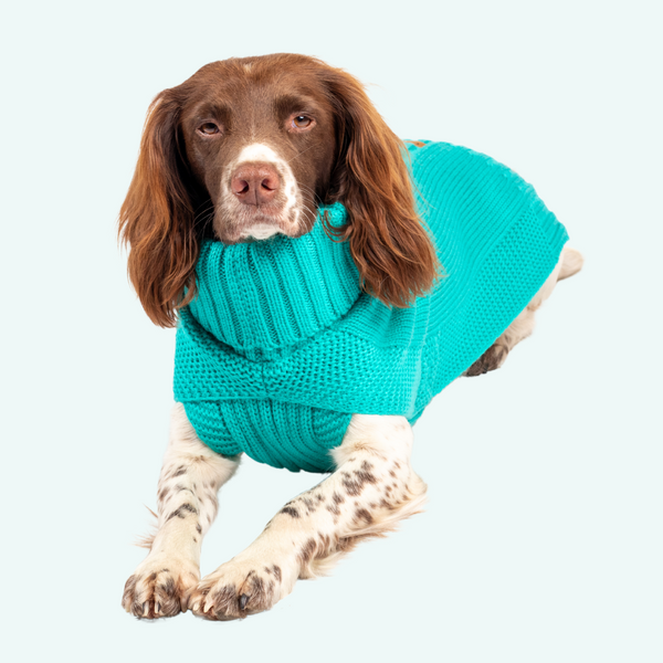 Single Cable Knit Jumper - Teal