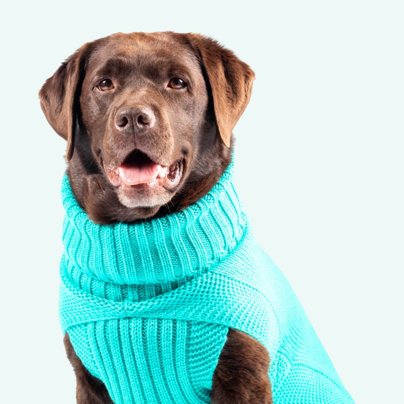 Single Cable Knit Jumper - Teal