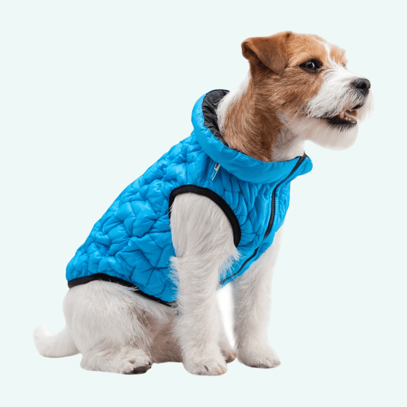 Airy Vest UNI Blue Black woofers barkers