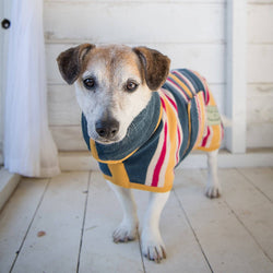 Ruff & Tumble Beach Drying Coat - woofers & barkers