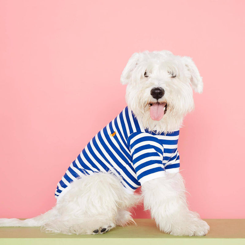 TPW David striped T shirt Blue - woofers & barkers