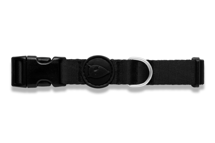 Morso satin Collar Pureness - woofers & barkers