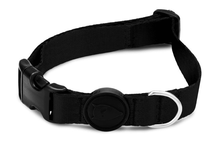 Morso satin Collar Pureness - woofers & barkers