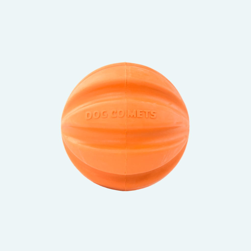 Orange dog best sale ball