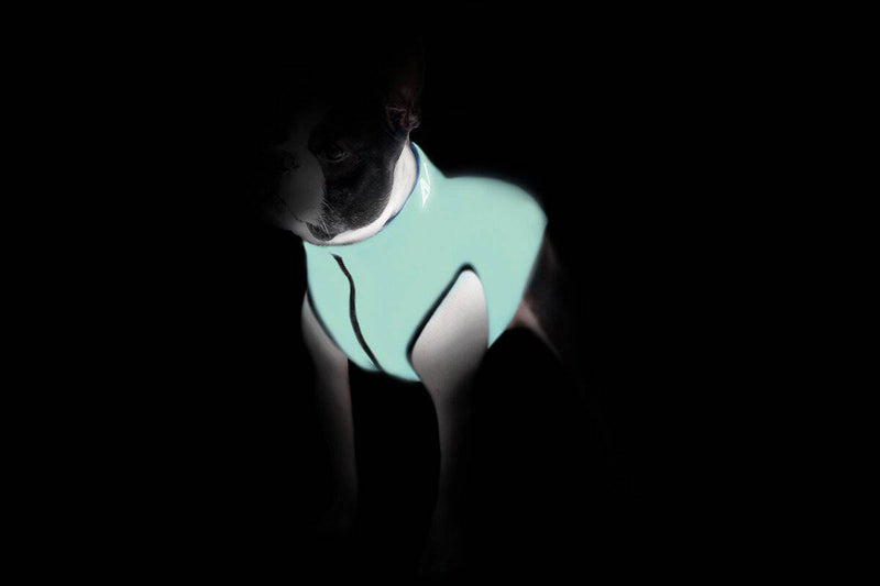 Airy Vest LUMI Blue/Green - woofers & barkers