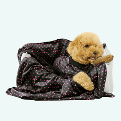Dreaming Dog Pyjamas - Black Stars - woofers & barkers