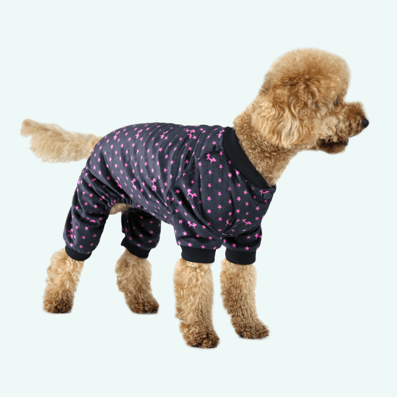 Dreaming Dog Pyjamas - Black Stars - woofers & barkers