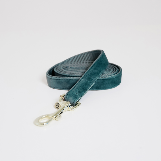 Kentucky Dog Lead - Velvet Emerald