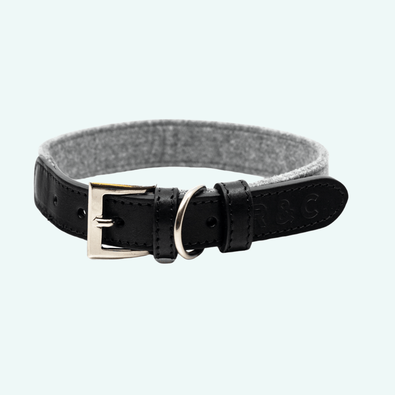 Ralph & Co Eton Collar - woofers & barkers