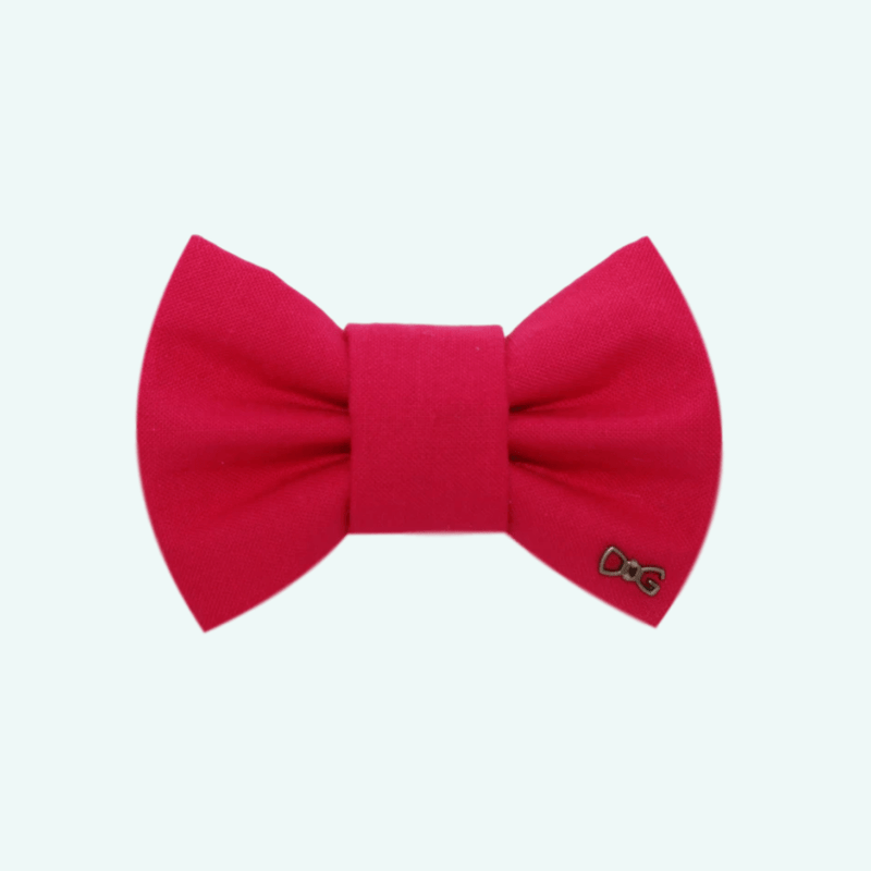 Funky Dog Bow Tie -  Bright Pink - woofers & barkers