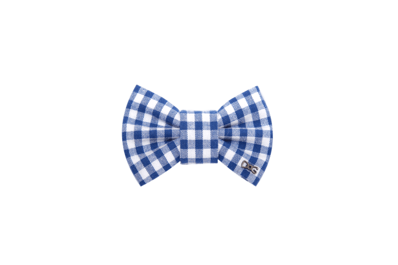 Funky Dog Bow Tie - Blue Gingham Check - woofers & barkers