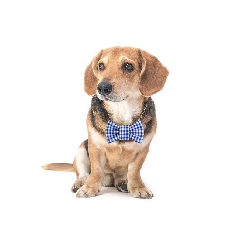 Funky Dog Bow Tie - Blue Gingham Check - woofers & barkers