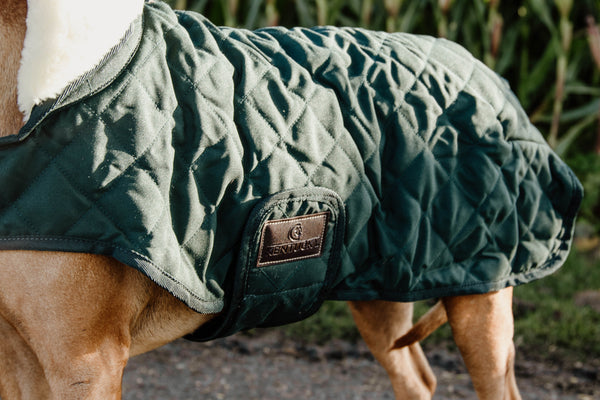 Kentucky Dogwear Dog Coat - Dark Green