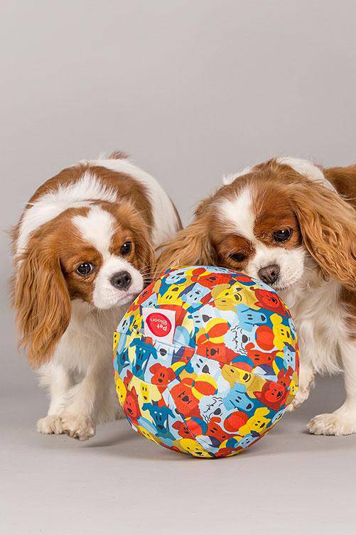 Dog balloon toy