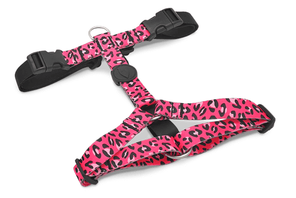 Morso H Harness Bubble Leo - woofers & barkers