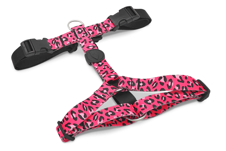 Morso H Harness Bubble Leo - woofers & barkers
