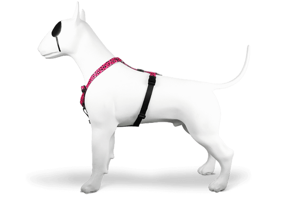 Morso H Harness Bubble Leo - woofers & barkers