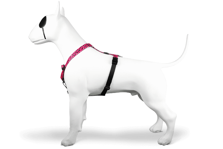 Morso H Harness Bubble Leo - woofers & barkers