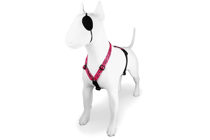 Morso H Harness Bubble Leo - woofers & barkers