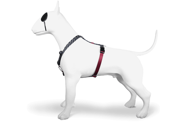 Morso H Harness Power Flow - woofers & barkers