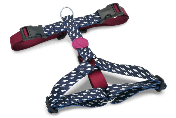 Morso H Harness Power Flow - woofers & barkers