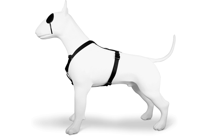 Morso H Harness Pureness - woofers & barkers