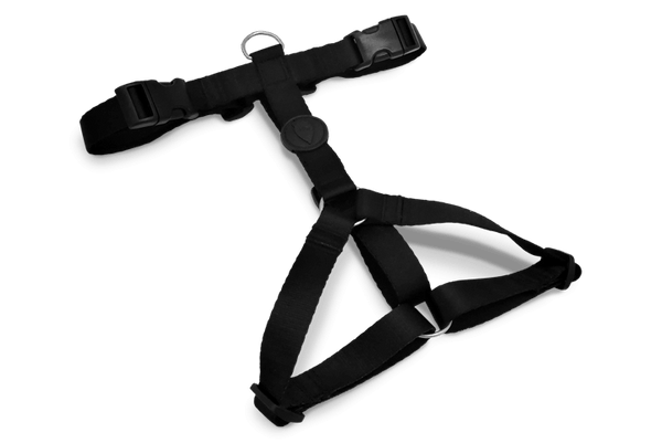Morso H Harness Pureness - woofers & barkers