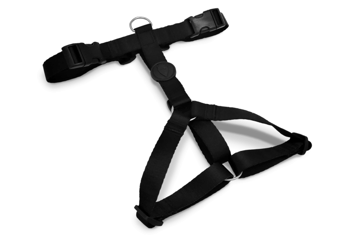 Morso H Harness Pureness - woofers & barkers