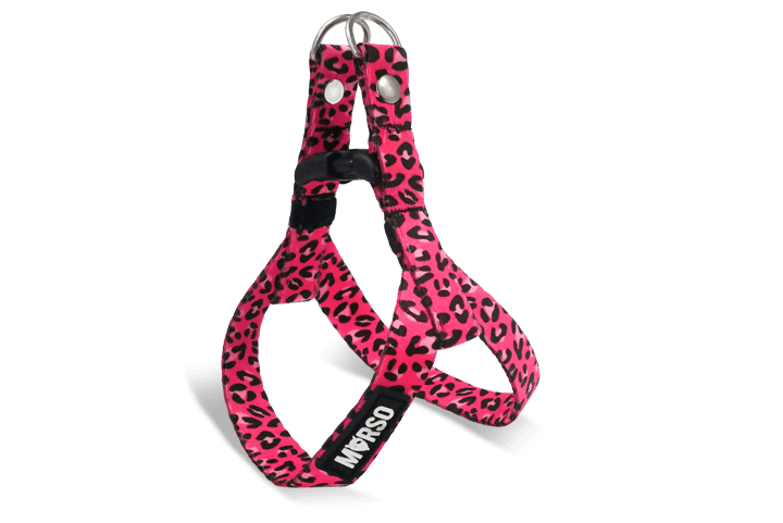 Morso Mini Harness Bubble Leo - woofers & barkers