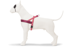 Morso Norwegian Harness Pink Think - woofers & barkers