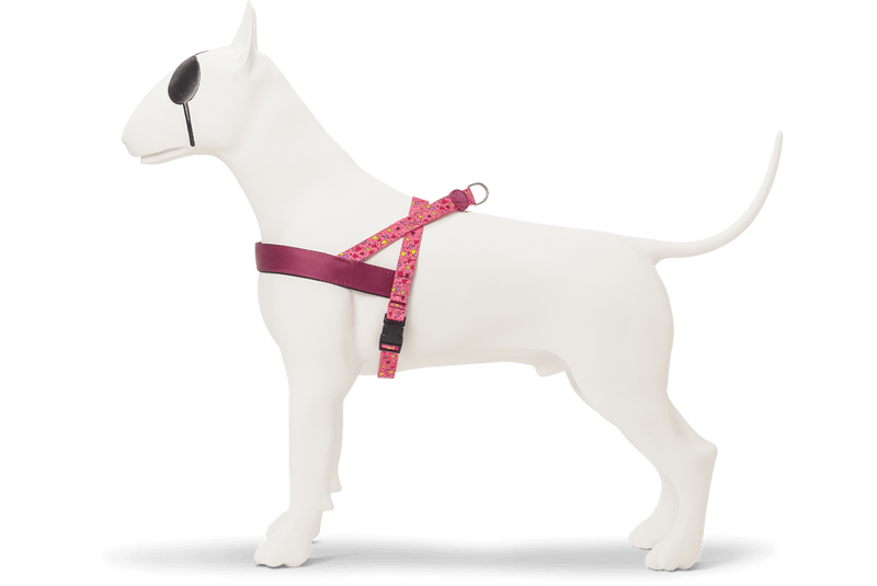 Norwegian dog harness store