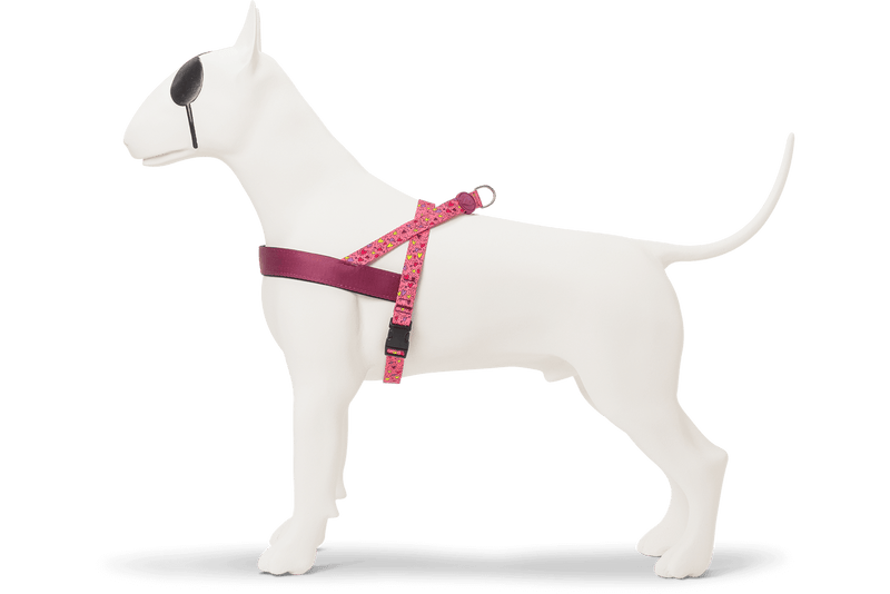 Morso Norwegian Harness Pink Think - woofers & barkers