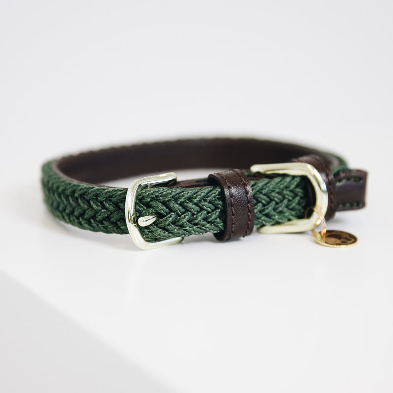 Kentucky Dog Collar - Plaited Olive
