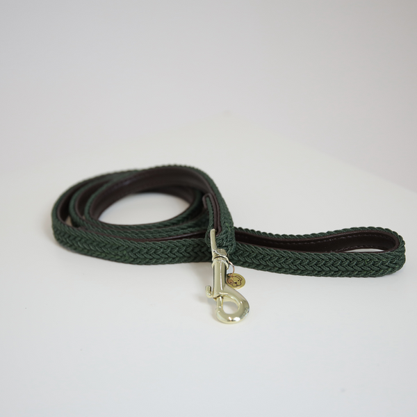 Kentucky Dog Lead - Plaited Olive