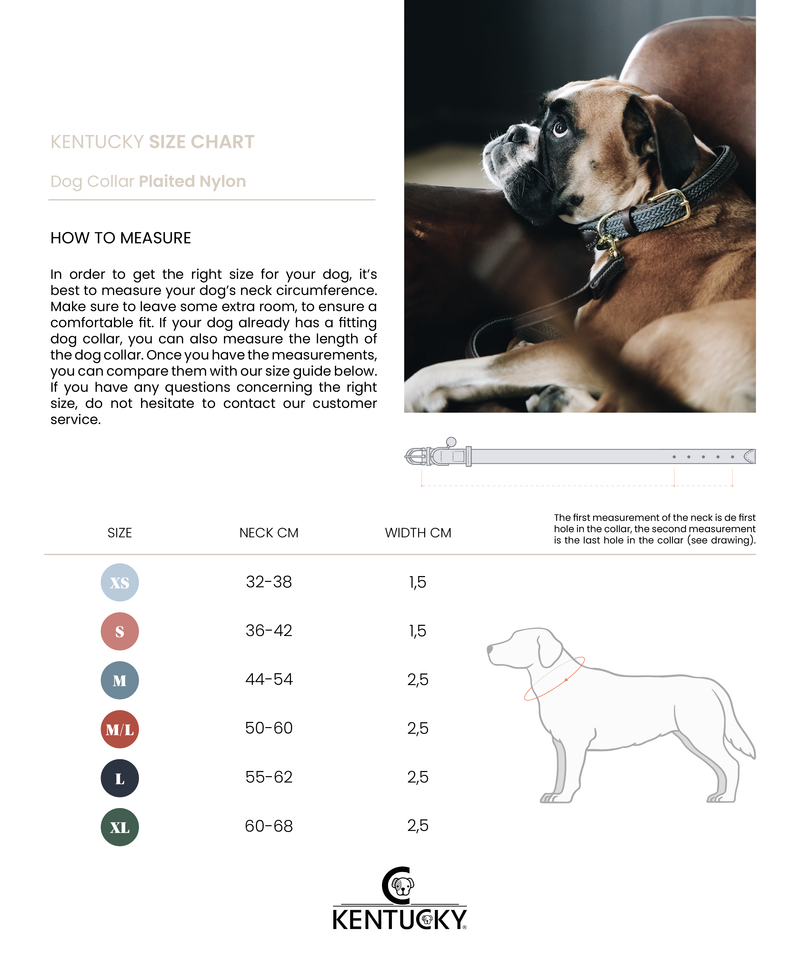 Kentucky Dog Collar - Plaited Olive