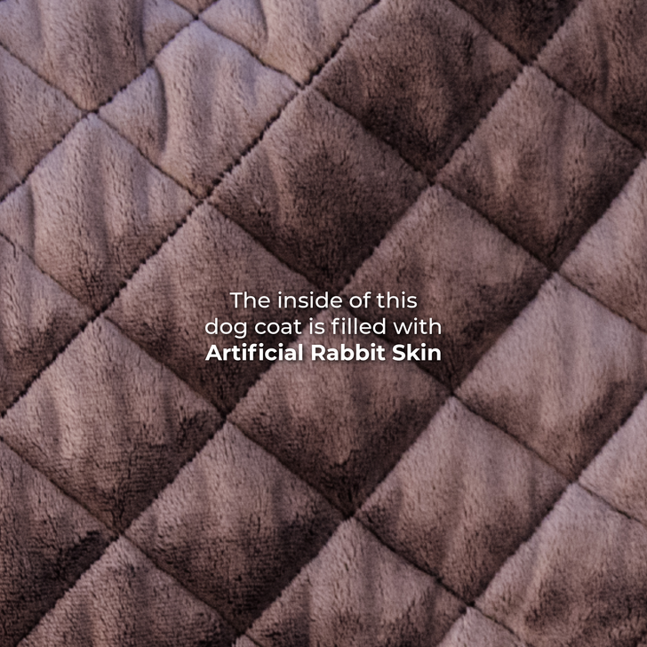 Kentucky Waterproof Dog Coat - Olive