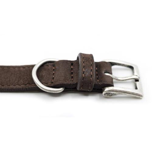 Ralph & Co Bergamo Collar - woofers & barkers