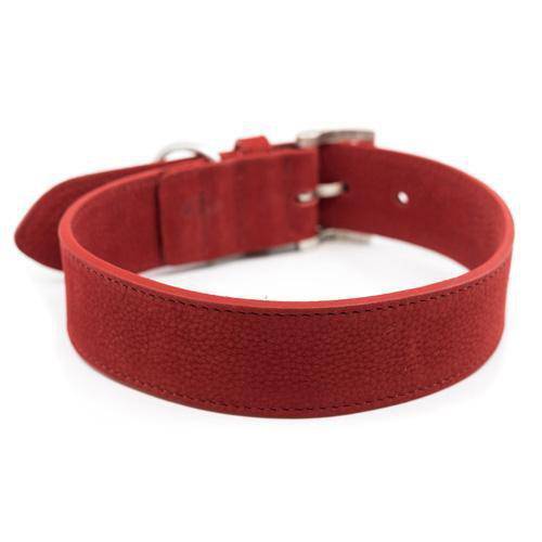 Ralph & Co Como Collar - woofers & barkers