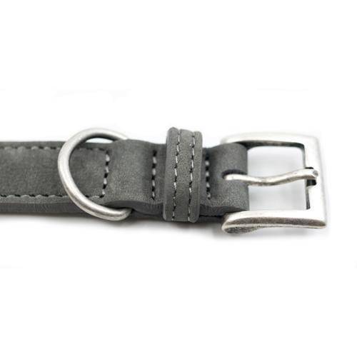 Ralph & Co Garda Collar - woofers & barkers