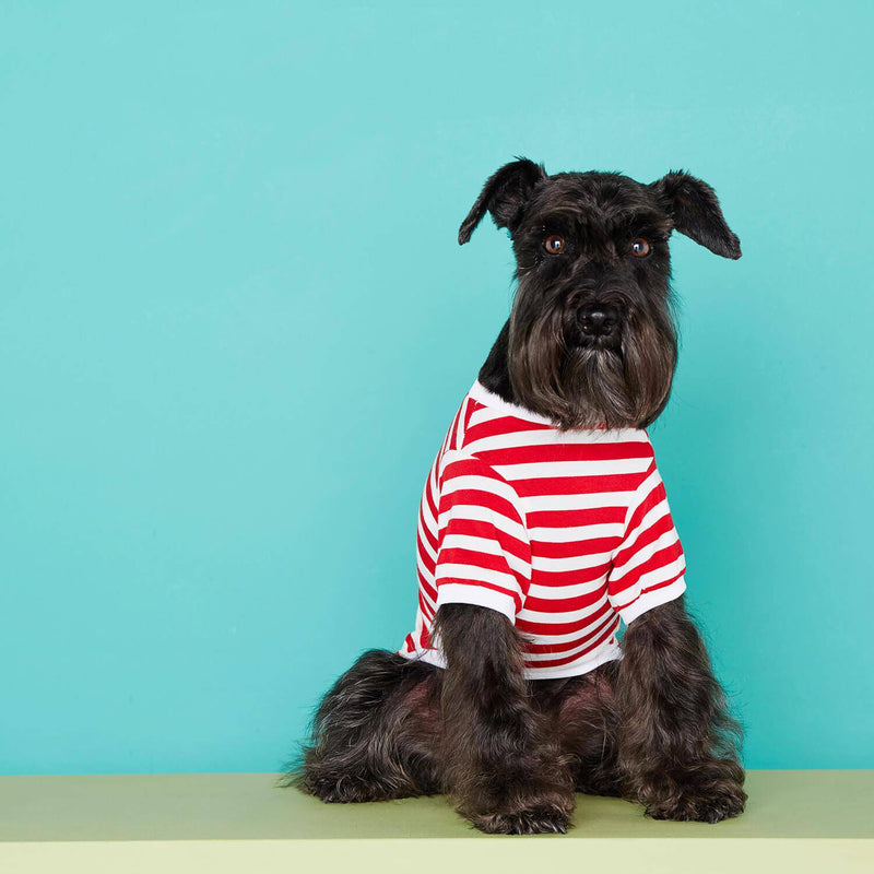 TPW David striped T shirt Red - woofers & barkers