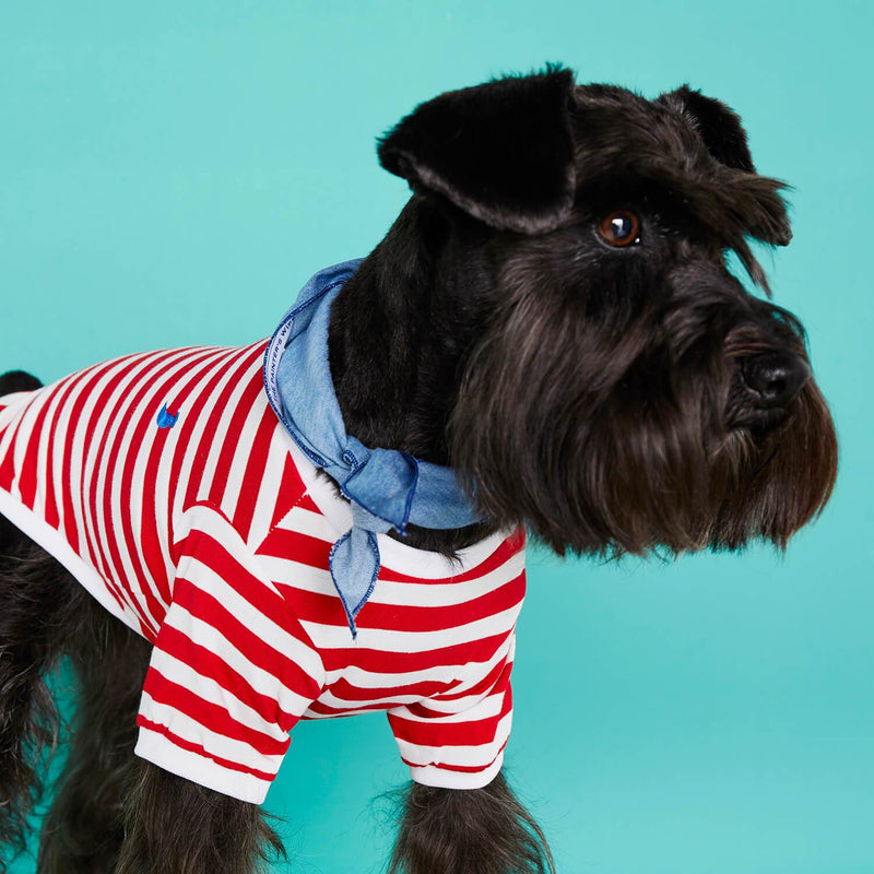 TPW David striped T shirt Red - woofers & barkers