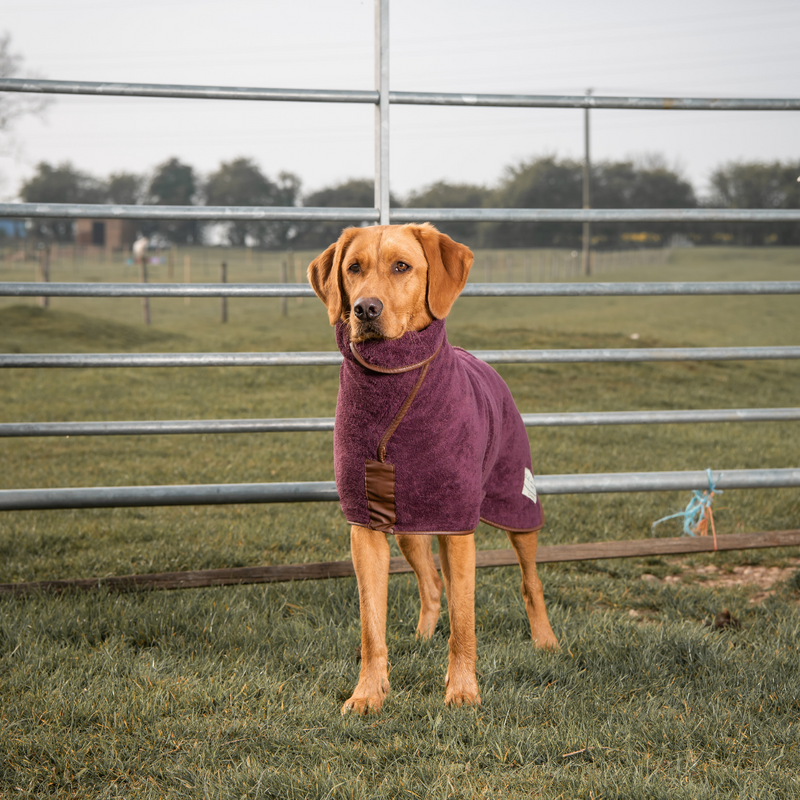 Dog drying jacket hotsell