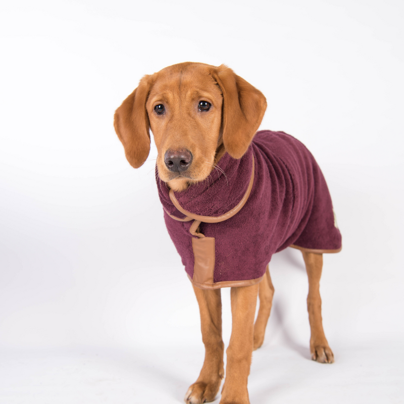 Ruff Tumble Burgundy Drying Coat woofers barkers