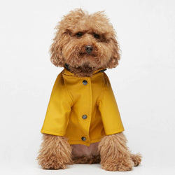 TPW Sarah Yellow GP Raincoat - New! - woofers & barkers