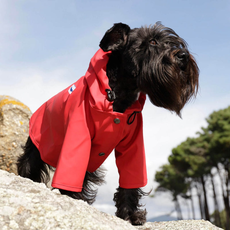 TPW Sarah Red Raincoat - New! - woofers & barkers
