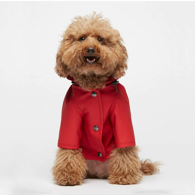 TPW Sarah Red Raincoat - New! - woofers & barkers
