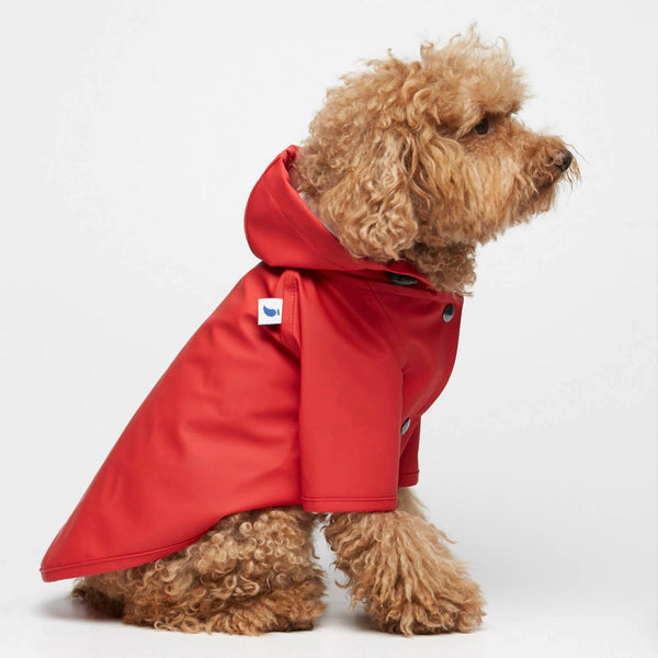 TPW Sarah Red Raincoat - New! - woofers & barkers